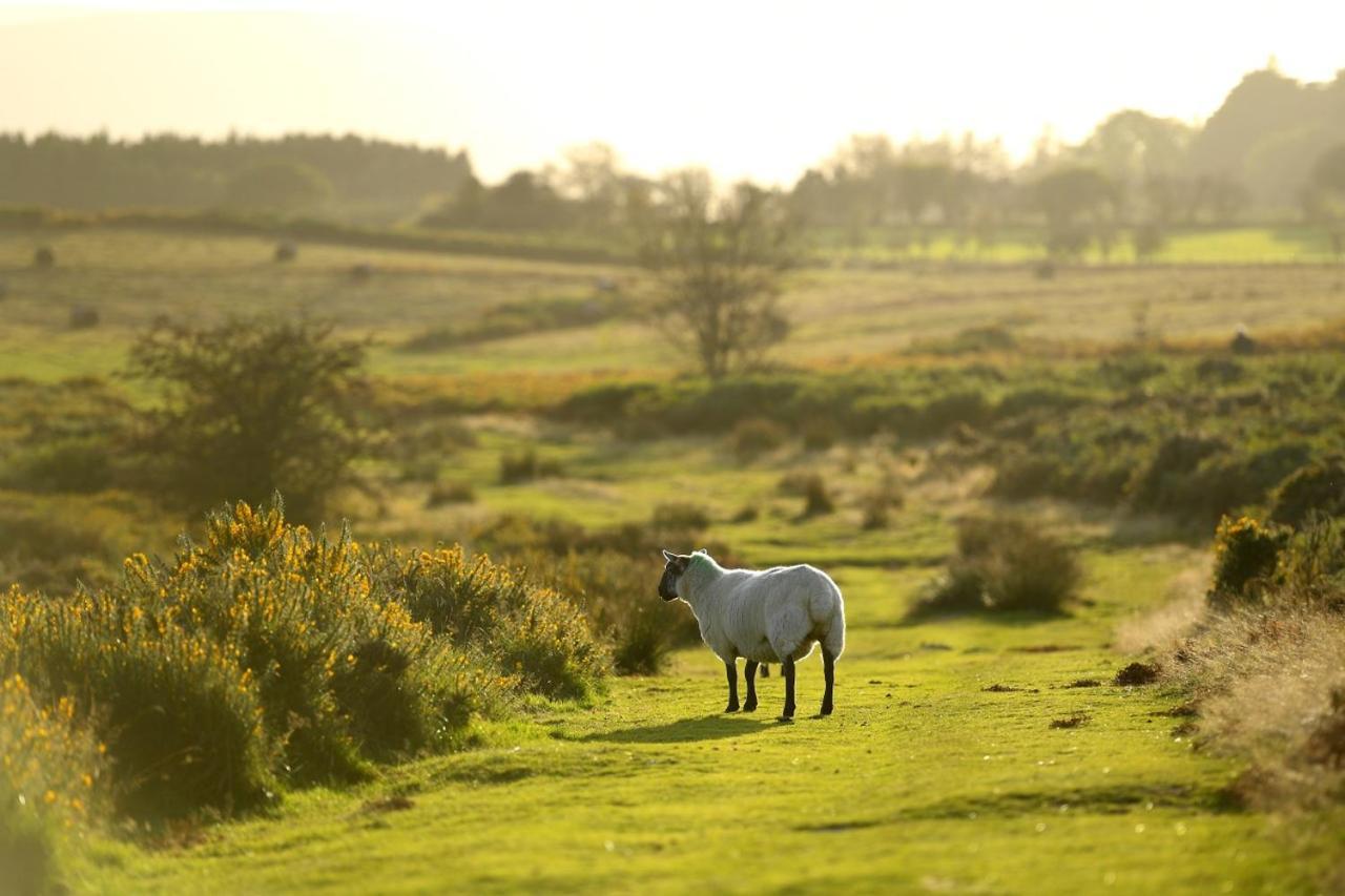 Captains Lookout Brecon Buitenkant foto